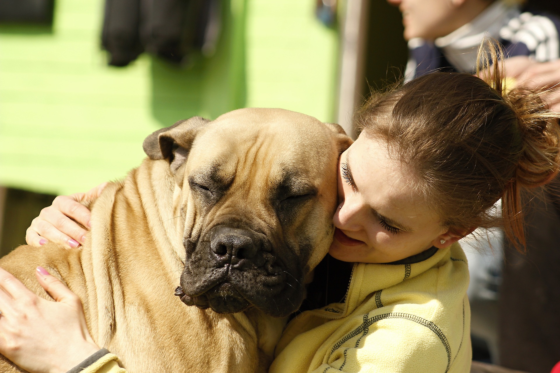 Psi pawilon podczas Dni Mikołajek "Happy Dog" (3-4.07)