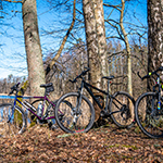 Pętla Bełdany MTB